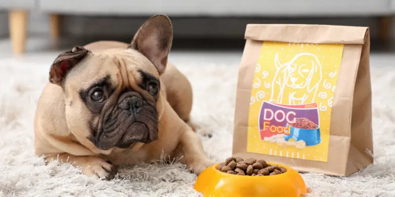 Quelles croquettes pour mon chien qui vomit ? Guide complet et conseils vétérinaires