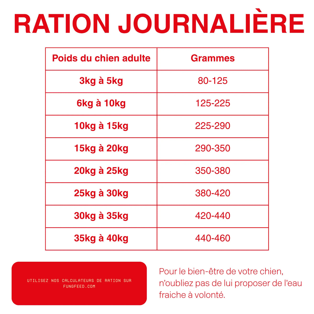 NOUVELLE RECETTE - Croquettes Hypoallergéniques Chien