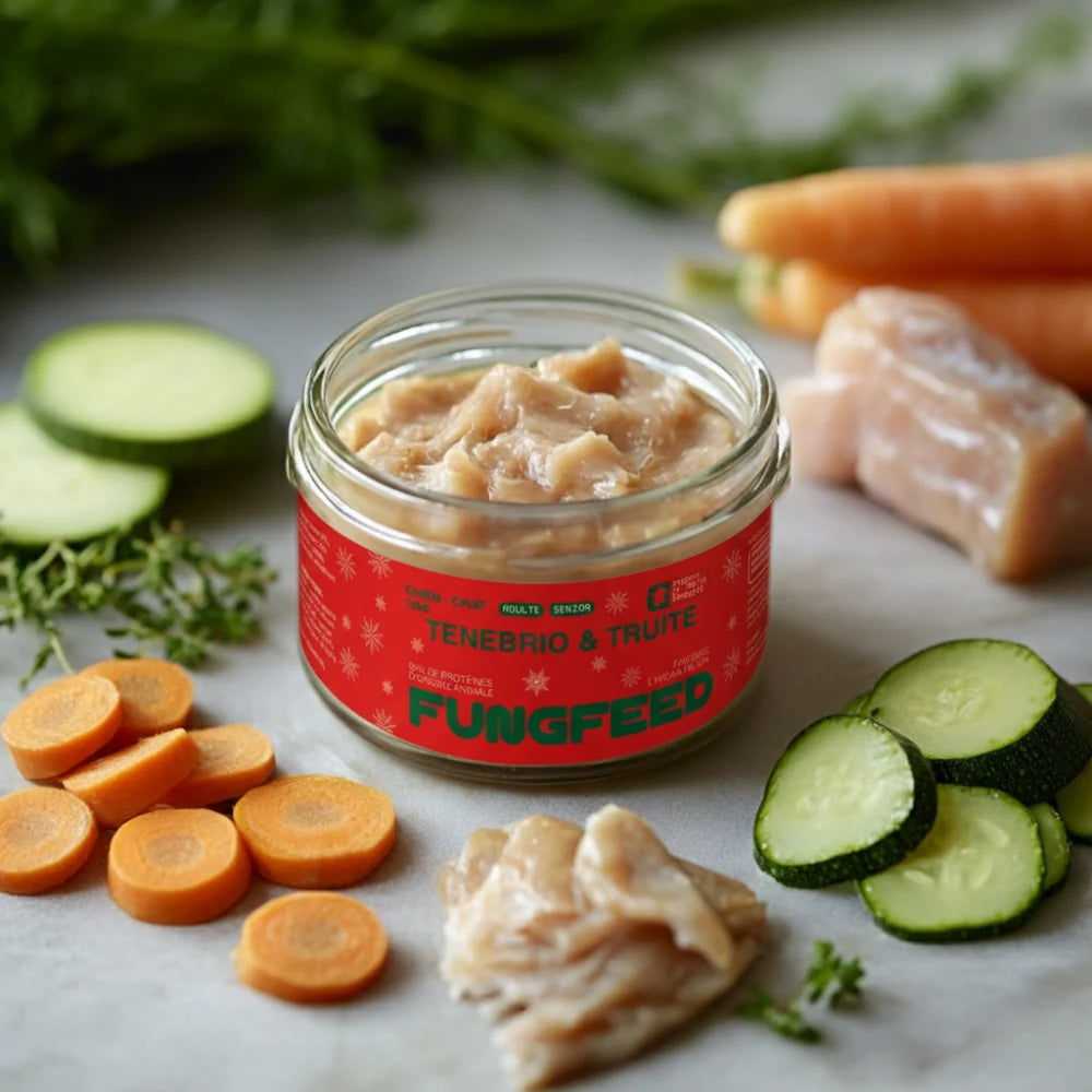 Duo de Pâtée de Noël Chien et Chat