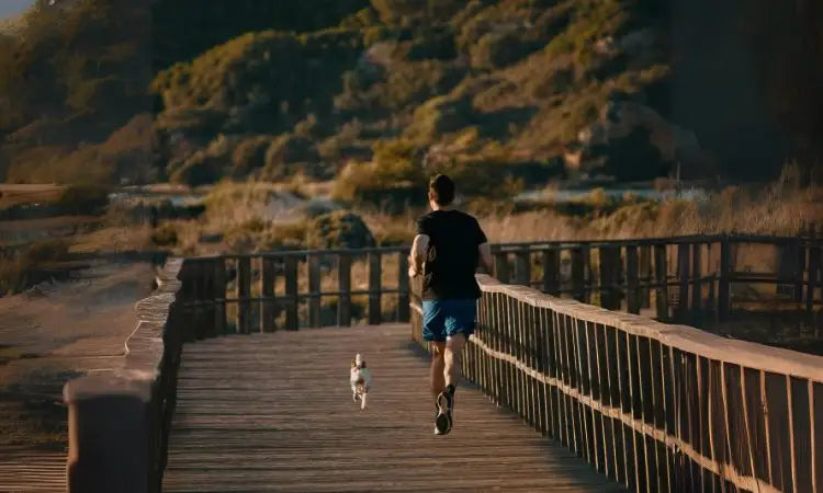 Courir avec son chien : nos conseils