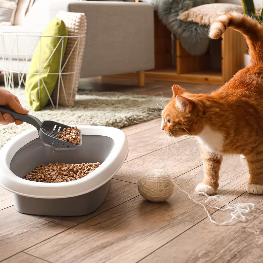 Litière Végétale Pellets Chat