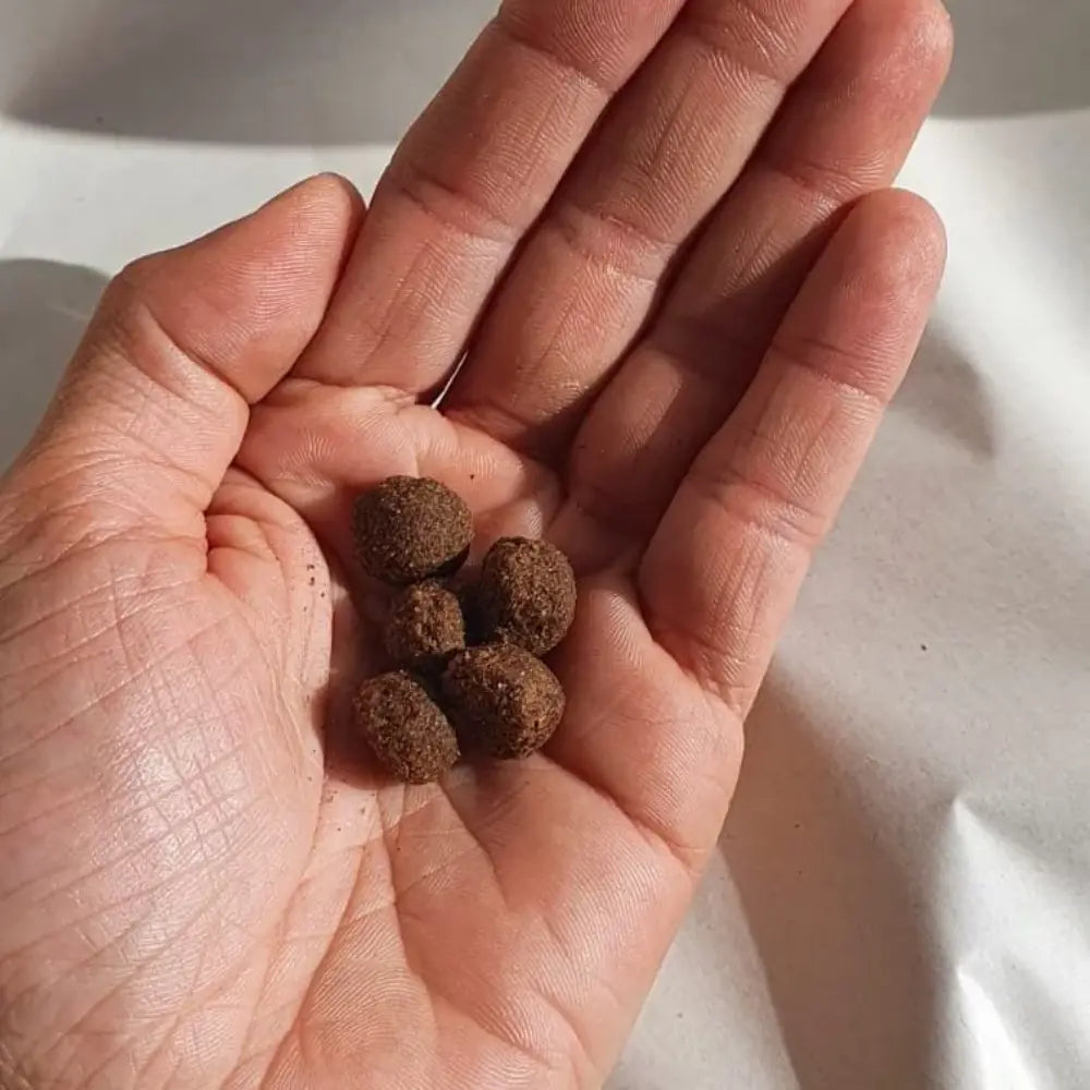 Croquettes Hypoallergéniques Chien