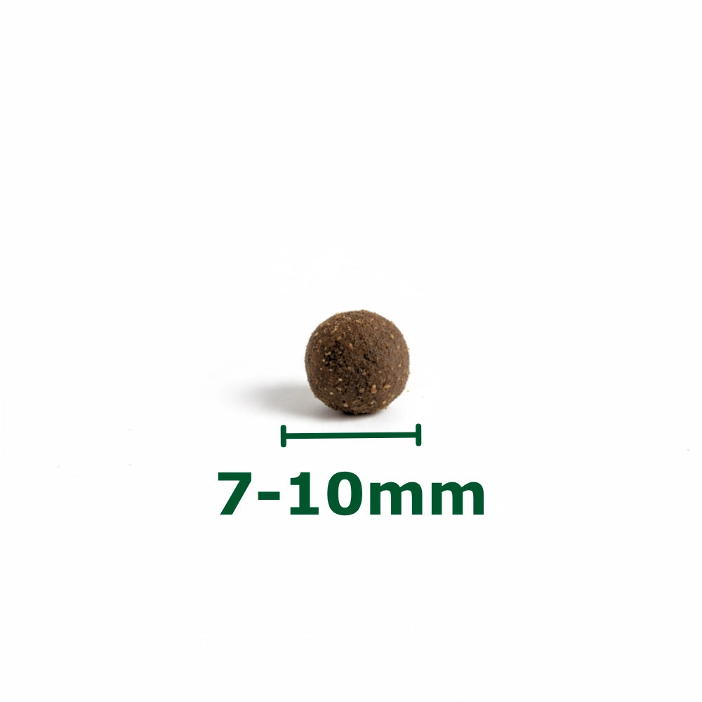 Croquettes Hypoallergéniques Chat