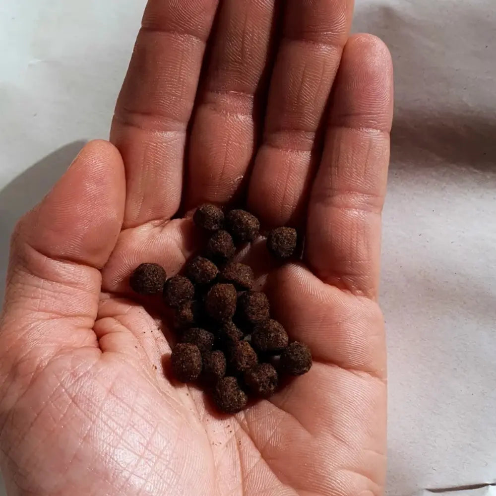 Croquettes Hypoallergéniques Chat