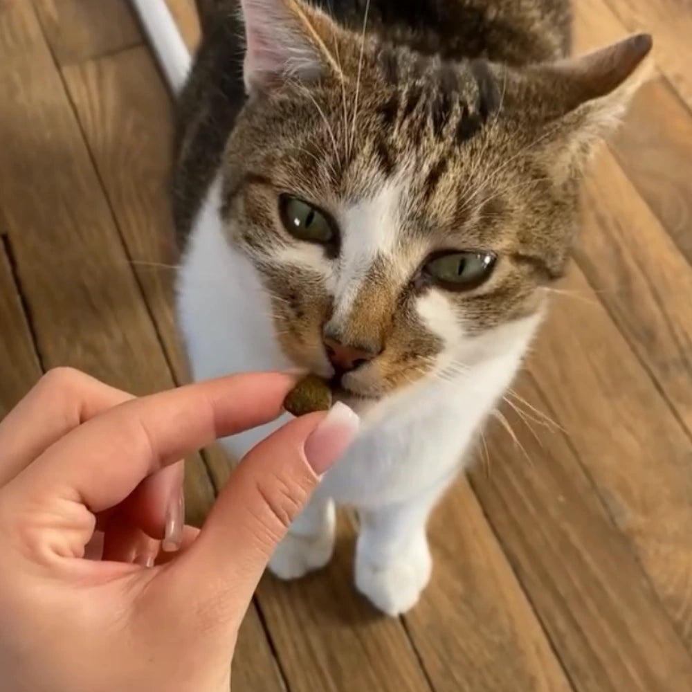 Friandises Hypoallergéniques Chat