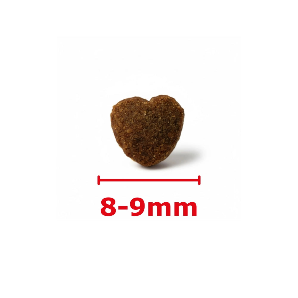 Friandises Hypoallergéniques Chien
